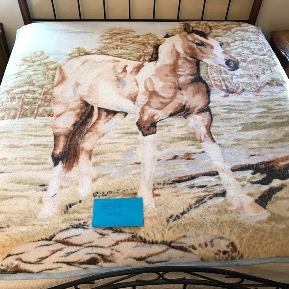 Paisano Plush Blanket Spring Pony Double Sided - Picture 4 of 6